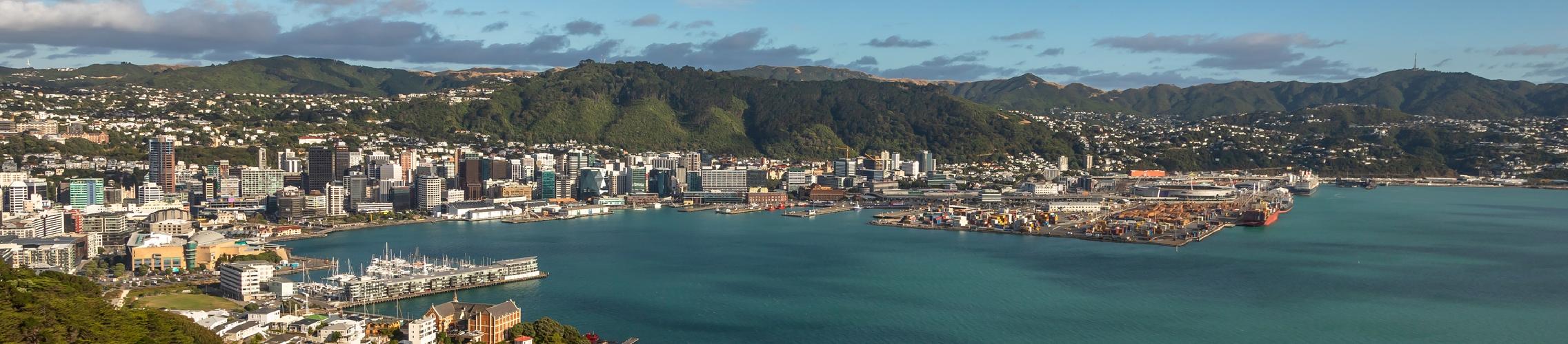 REINZ statement on Consumer Price Index (CPI) release (21 July 2026)